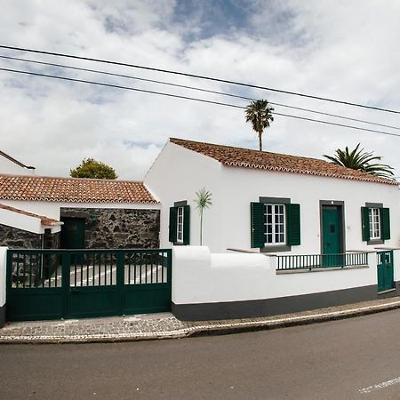 Casa Das Palmeiras São Vicente Ferreira Екстериор снимка