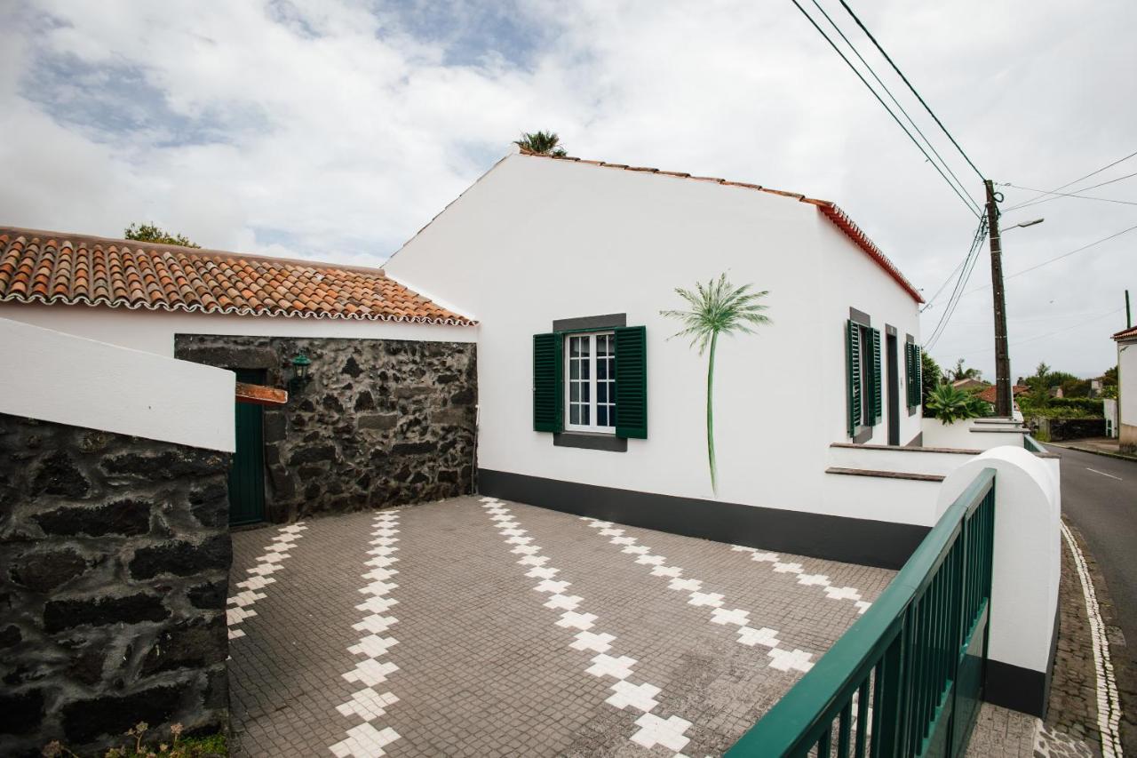 Casa Das Palmeiras São Vicente Ferreira Екстериор снимка
