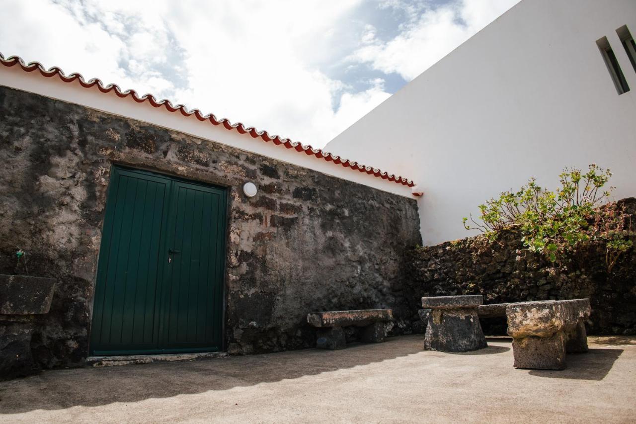 Casa Das Palmeiras São Vicente Ferreira Екстериор снимка