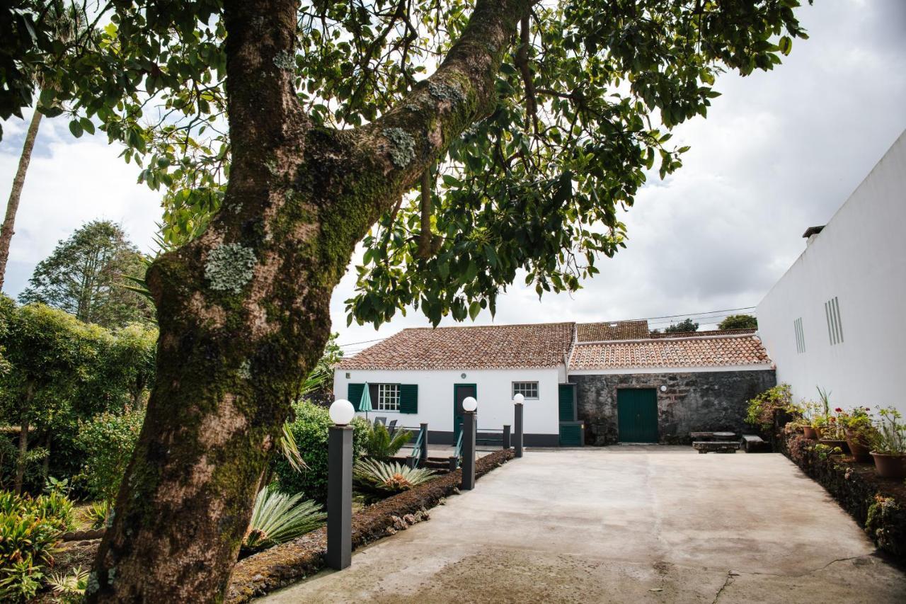 Casa Das Palmeiras São Vicente Ferreira Екстериор снимка
